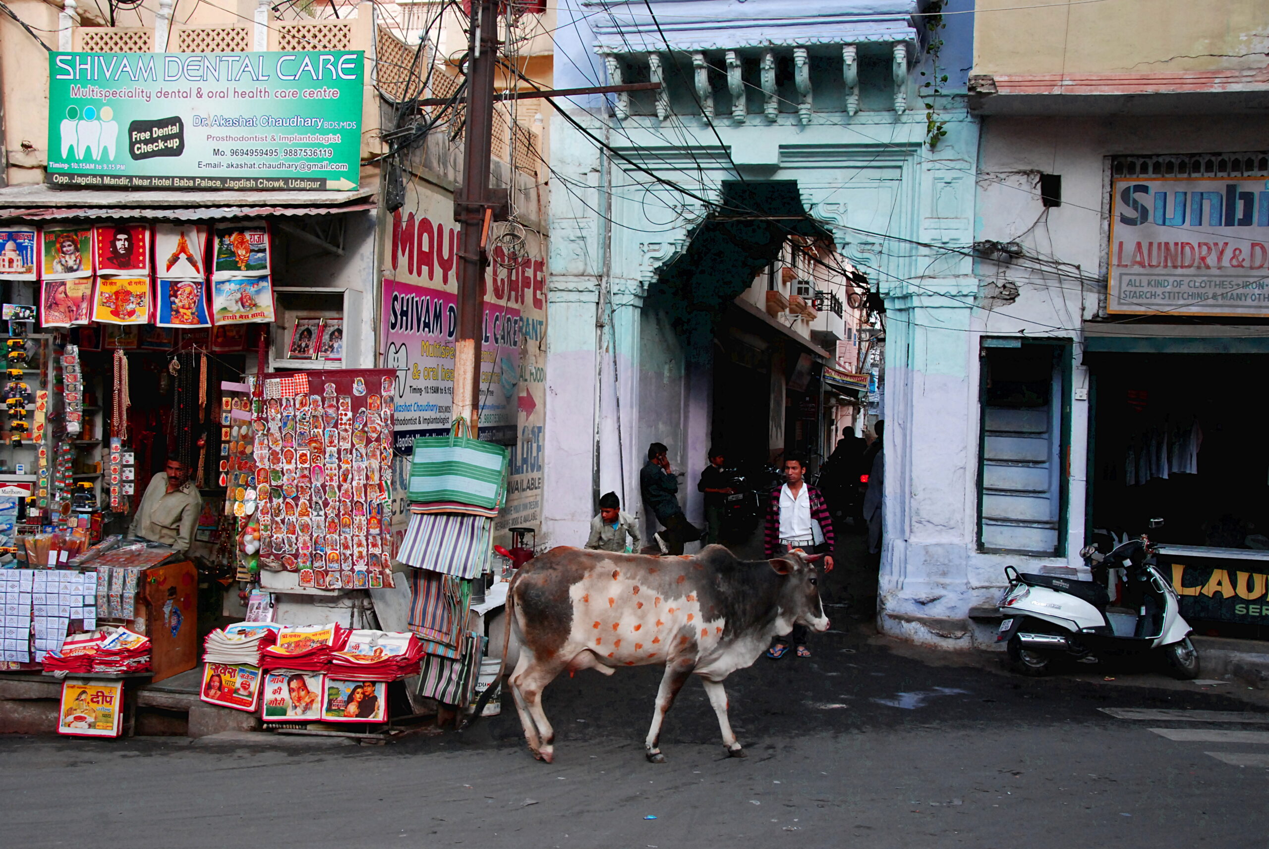 Rajasthan tour