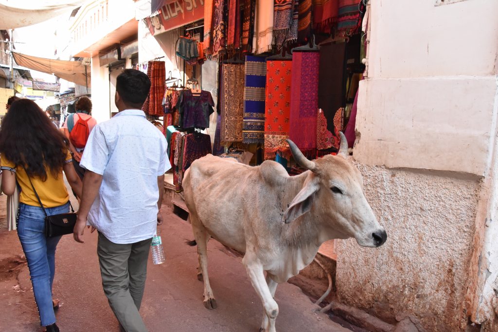 circuit inde du nord